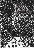 http://www.daniel-bischoff.net/files/gimgs/th-89_Riso 22 79 x 112mm.jpg